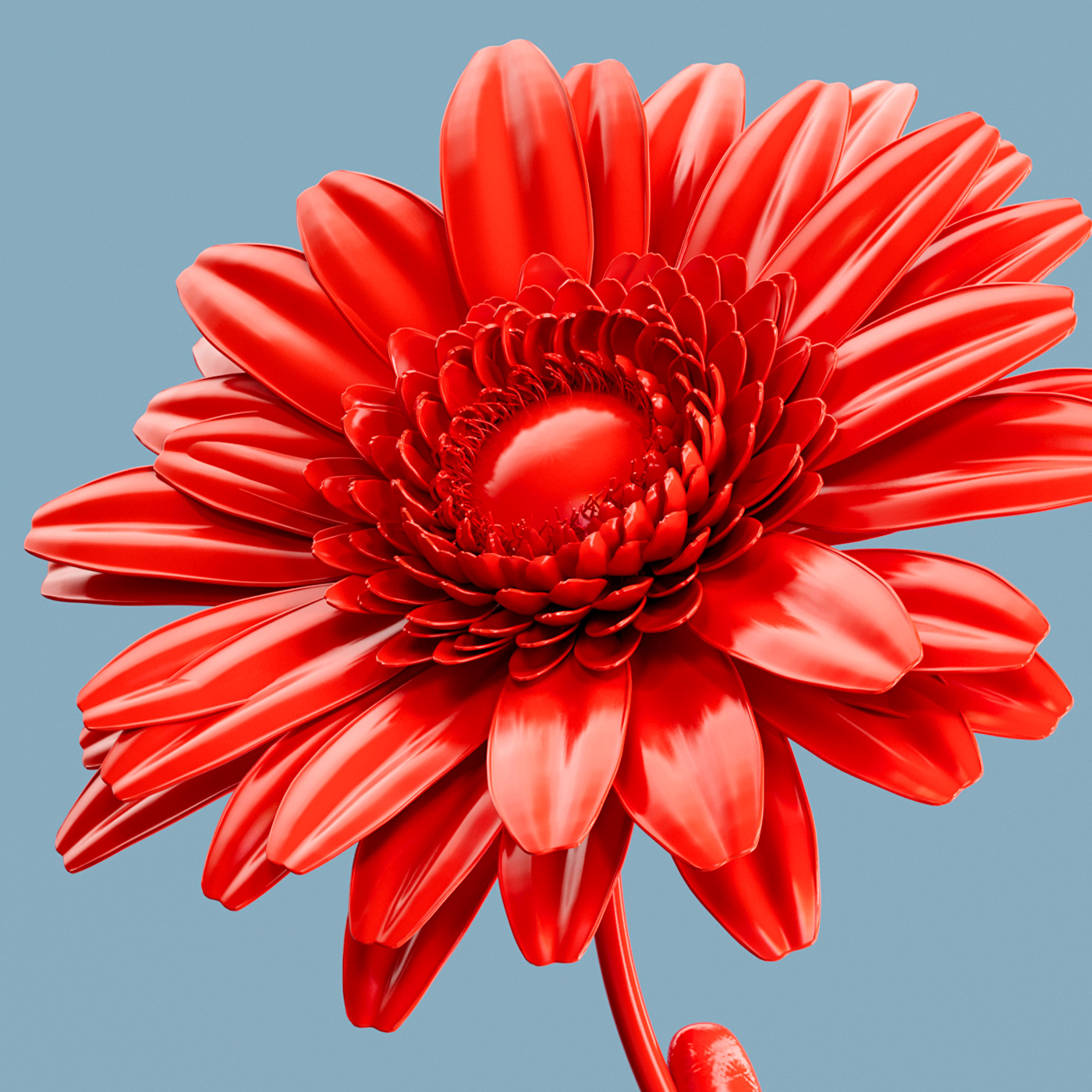 render blume rot