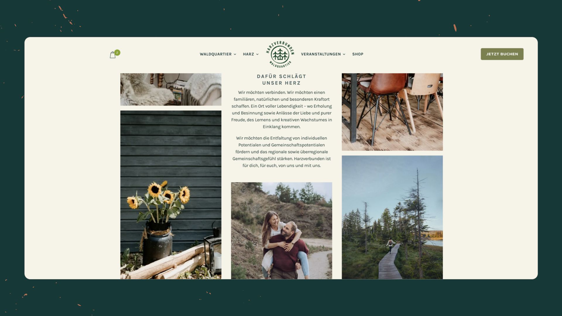 Website Design für Harzverbunden